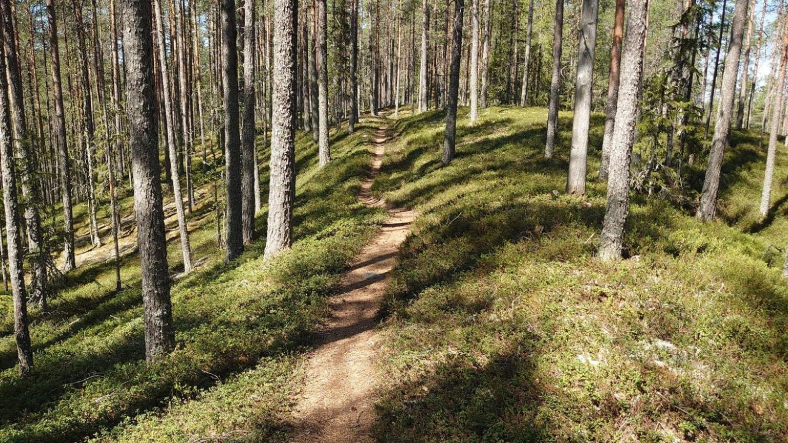 Mountain Lodge Stoten Luaran gambar
